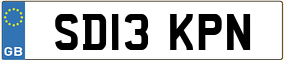 Trailer License Plate